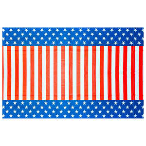 ชุดอุปกรณ์จัดเลี้ยงธีมปาร์ตี้วันชาติสหรัฐอเมริกา - อุปกรณ์ปาร์ตี้วันชาติ 4 กรกฎาคม ประกอบด้วยจานกระดาษแบบใช้แล้วทิ้ง แก้ว บอลลูน ป้ายแขวน ธงชาติ - Product Image 6