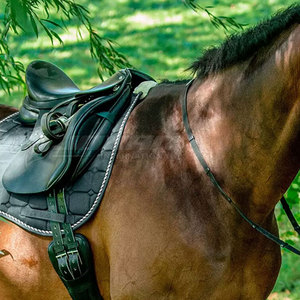 Equestrian <b>Saddle</b> Pad with Custom Logo Soft Breathable Material OEM Manufacturer Available - Product Image 4