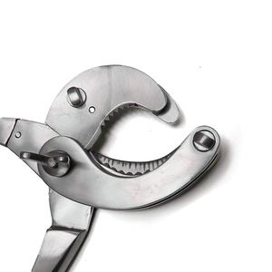 เฟืองเซอร์ร่าเอ็มแอสคูเลเตอร์35.5ซม. เครื่องมือสัตวแพทย์อุปกรณ์สำหรับม้า - Product Image 5