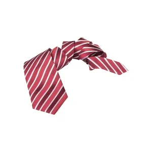ชุดของขวัญเนคไทผ้าไหมสั่งทำ Vivonne สำหรับการขายส่ง - Product Image 4