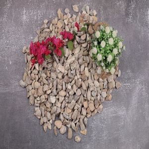 Rainforest Brown Extra Small Natural Stone Cobbles Intérieur Extérieur Aménagement Paysager Enhancers pour Salle de Bain Extérieur Inde Application - Product Image 2