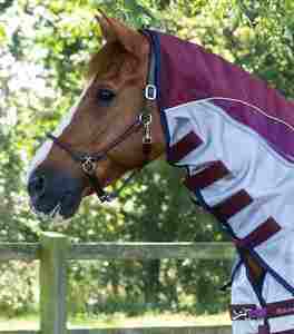 ผ้าห่มม้ากันน้ำ ระบายอากาศ ทนทาน คุณภาพพรีเมียม สำหรับขี่ม้า ผลิตโดยโรงงานโดยตรง - Product Image 2