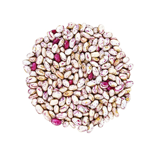 Venta al por mayor Arándano Jugo Rojo Moteado Frijoles de Riñón Azúcar Frijoles al por mayor Arándano Rojo para la venta - Product Image 2