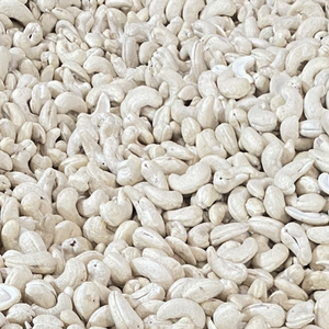 Vente flash Noix de cajou W240 Noix de cajou brutes du Vietnam Haute qualité Emballage de marque privée disponible Santigo - Product Image 1