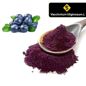 Vente en gros de poudre de jus de myrtille sauvage soluble dans l'eau à 100%/extrait de myrtille pour boisson à un prix abordable - Product Image 2