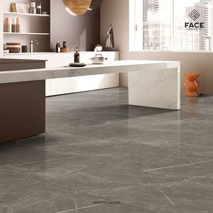 Descubre la belleza atemporal con los azulejos de porcelana de 600x600 mm elaborados en India. Descubre el diseño moderno con azulejos de calidad atemporal. - Product Image 1