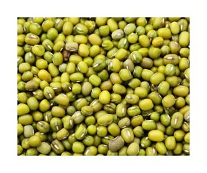 Natural Color Mung <b>Beans</b> with No Additives - Premium Mung <b>Beans</b> for Export with 0.5% Max Stones and High Sorting Precision - Product Image 3