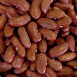 High Quality Premium Export Quality Organic Red Kidney <b>Beans</b> Dried High-protein 100% Natural Bulk Packed Food Grade For Sale - Product Image 4