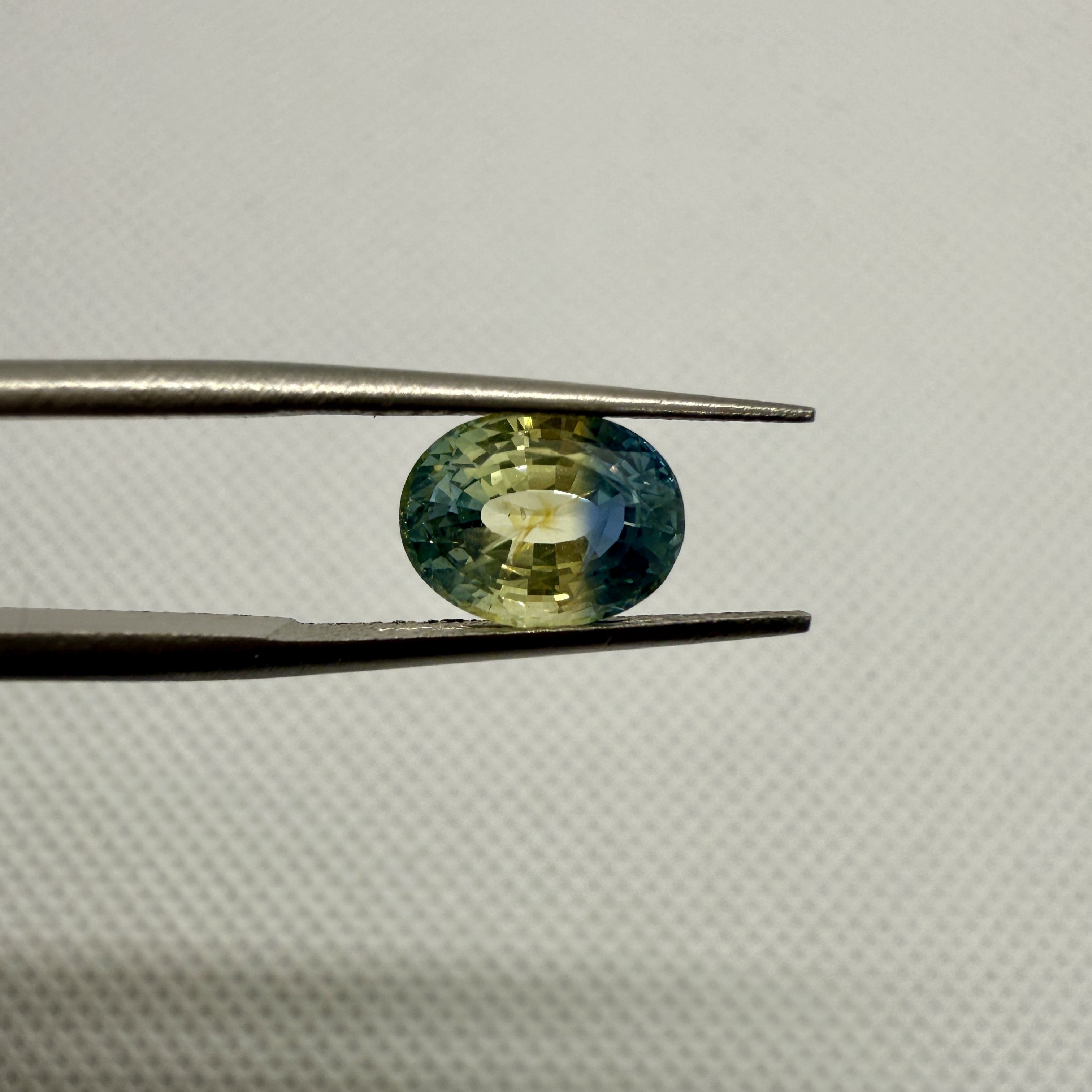 ตามที่แสดง