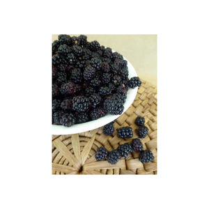 Fruta fresca de zarzamora ofrecida para empresas de servicio y procesamiento de alimentos - Product Image 5