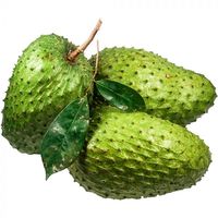Leveringsprijs Graviola Zuurzak Fruit Bevroren Zuurzak Fruit Bulk Bevroren Zuurzak Vietnam Ms Sophie