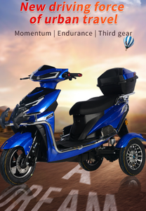 Triciclo Eléctrico Económico y Popular de Moda 2025 con Gran Capacidad de Carga - Product Image 2