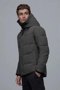 Chaqueta Acolchada de Primera Calidad, Tejido de Alta Calidad, Servicio OEM, Logotipo Bordado, Chaqueta de Invierno, Último Diseño 2025 - Product Image 3