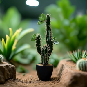 EUROPALMS Cactus Mexicano de 75 cm con Hojas, Plantas y Follaje Artificiales - Product Image 3