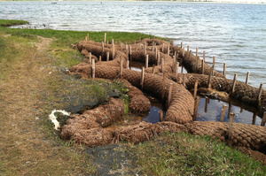 Produits de noix de coco écologiques et abondants de haute qualité Bûches de coco utilisées pour contrôler l'érosion des sols-LOTUS BLEU du Vietnam - Product Image 2