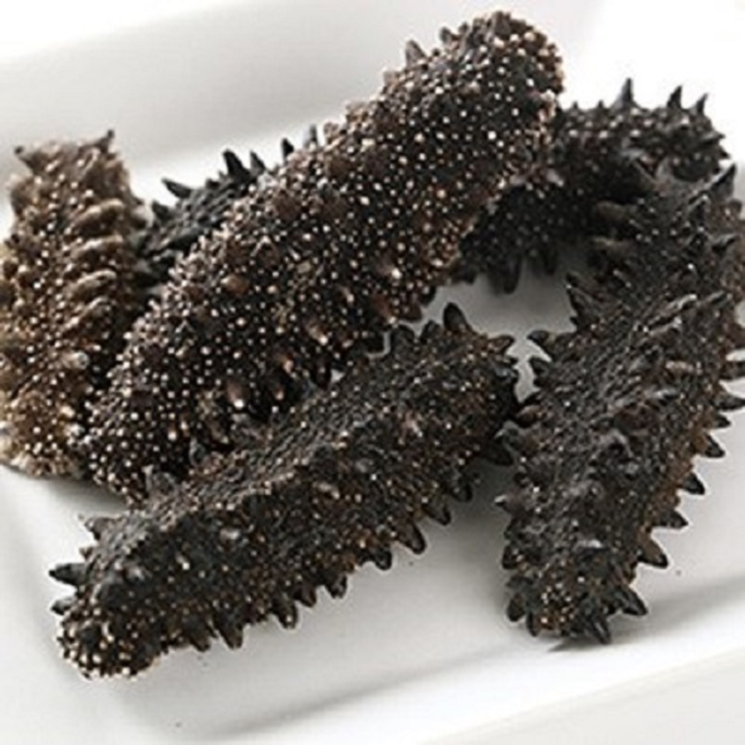 High Grade Wholesale Sea Cucumber Dried Sea Cucumber