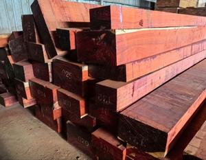 Wholesale Premium African Padauk Wood <b>Logs</b> Rich Reddish-Brown Color for Furniture Handicrafts Flooring Interior <b>Decor</b> - Product Image 1