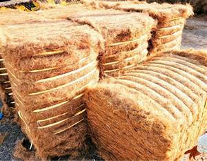 Fibre de noix de coco vietnamienne pour les fournitures de jardin - Product Image 4