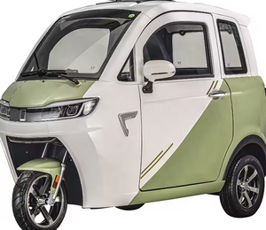 Motocicleta eléctrica de 3 ruedas lista para usar con cabina de conducción, scooter eléctrico - Product Image 1