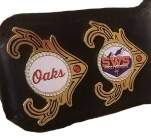 CEINTURES DE CHAMPIONNAT PERSONNALISÉES STYLE ROYAL RUMBLE 1997! AVEC HAUTE QUALITÉ - Product Image 2