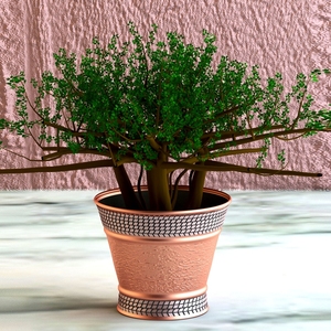 Regadera de caña de agua chapada en latón de forma alta de diseño moderno para uso en pasillo, artículos de jardín, lata de agua de alta calidad - Product Image 6