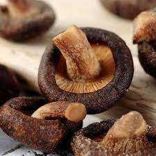 Croustilles de champignons Shiitake du Vietnam Vente en gros Croustillant Snack Shiitake Fournisseur direct au meilleur prix - Product Image 4