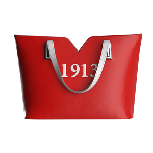 Sac fourre-tout Delta Sigma Theta Sorority - Product Image 3