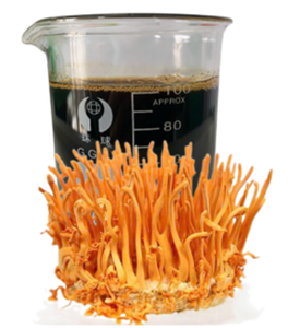 Harga terbaik ekstrak Cordyceps fermentasi 3-0 X3 jus buah fermentasi alami Sehat kaya vitamin Ike Nam jus - Product Image 1