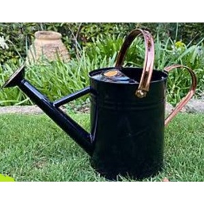 Regadera Decorativa de Metal, Diseño Artesanal, Forma Personalizada, Artículo de Uso, Aspecto Elegante, Estilo Moderno - Product Image 4