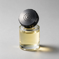 Bouteille en verre vide suspendue de volume variable personnalisée pour diffuseur