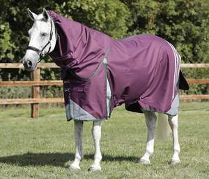 Mantas de Invierno para Caballos de Lujo Personalizadas Premium, Tejido de Polialgodón Impermeable, Cuello Alto, Relleno de Plumas, Ligeras, Directamente - Product Image 1