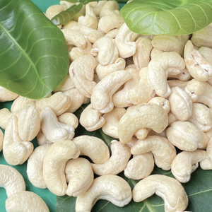 Fournisseur de confiance Vente en gros Noix de cajou Noix de cajou W320 Noix de cajou de Santigo Vietnam - Product Image 1
