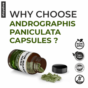 ธรรมชาติ andrographis paniculata capsules | อาหารเสริมสมุนไพร | andrographis paniculata capsules | อาหารเสริมสำหรับผู้ชายและผู้หญิง - Product Image 4