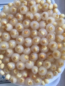 เนื้อมะม่วงแห้งคุณภาพพรีเมียม บรรจุเมล็ดบัว  ผู้ส่งออกเนื้อมะม่วงแห้งบรรจุเมล็ดบัว ANGLE - Product Image 3