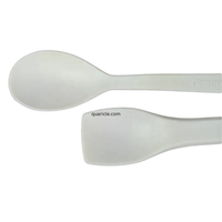 Cuillère à dessert jetable blanche en bagasse de canne à sucre, écologique, biodégradable, de qualité alimentaire, imprimée sur mesure, 95x25mm, vente en gros