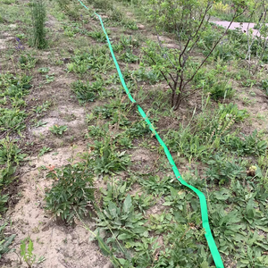 Connexion forte et <span class=keywords><strong>tuyau</strong></span> d'eau de bâche facile de Pe pour l'irrigation d'agriculture - Product Image 1