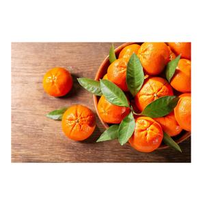 Acheter des oranges nombril fraîches en gros à bas prix pour satisfaire vos envies d'agrumes Oranges nombril fraîches des États-Unis pour vente en gros - Product Image 5