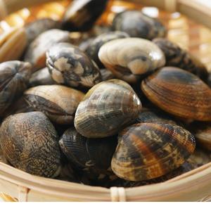 ขายส่งสำหรับหอยที่มีคุณค่าทางโภชนาการตามธรรมชาติหอยแห้งสดและแช่แข็งในราคาส่วนลด - Product Image 3