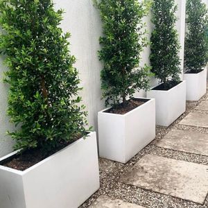 ที่ปลูกต้นไม้ไฟเบอร์กลาสปรับแต่งขนาดและสีได้สำหรับตกแต่งสวน - Product Image 1