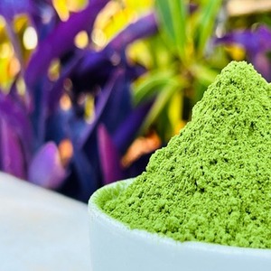 USDA Extrait de poudre de feuille de Moringa sauvage biologique séché naturel pour stimuler le système immunitaire et réduire les acides gras emballé sous vide - Product Image 1