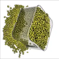 비 GMO 최고 등급 가방 20-50 kg 2,8 + mm 녹두 우즈베키스탄 천연 무ng 콩