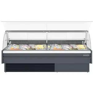 Huaer - Vitrina Refrigerada de 2 Puertas con Enfriamiento Directo y Vidrio Plano para Exhibición de Pescado en Supermercados, Restaurantes y Comercios de Alimentos Congelados - Product Image 2
