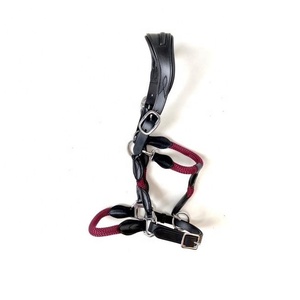 Leather and Rope Combination <b>Halter</b> Leather Anatomic Head Leather <b>Halter</b> Hybrid Horse <b>Halter</b> - Product Image 2