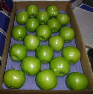 Pommes vertes Fuji biologiques de haute qualité - Pommes fraîches de haute qualité à vendre - Product Image 3