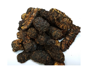 Fruta de Noni Seca de Alta Calidad de Vietnam - Rodajas de Morinda Citrifolia Secas al Sol para Procesamiento de Alimentos y Suplementos - Product Image 2