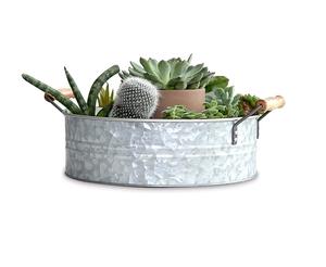 2024 TOP moderne métal fleur stands planteur pour salon chambre affichage plante support grand intérieur plante support avec jardinière Pot - Product Image 2