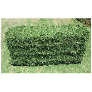 Heno de alfalfa a granel para granjas lecheras, ganado vacuno, caballos, cabras y aves de corral, con contenido nutricional garantizado y larga duración. - Product Image 3