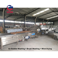 Commerciële Fruit Wassen En Waxen Machine Verkoop Dragon Fruit Wasmachine Cactusvijg Peer Wassen Pruim Reinigingsmachine