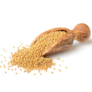 Épice de cuisine essentielle aux graines de moutarde jaune de haute qualité - Product Image 1
