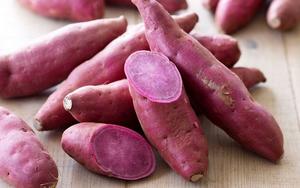 Fournisseur en gros de patates douces fraîches du Vietnam offrant une qualité stable et un prix compétitif sur le marché de l'exportation - Product Image 4